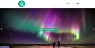 ST Miracle Business